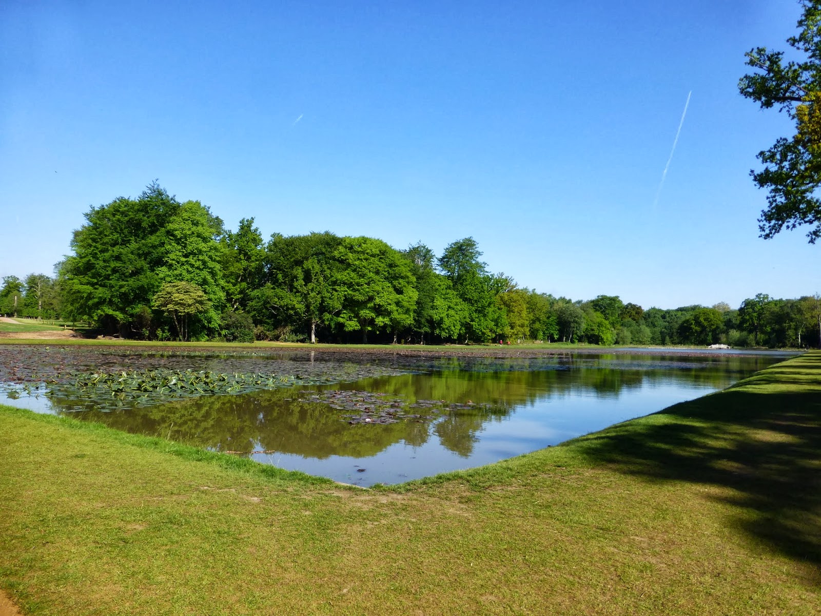 Cow Pond