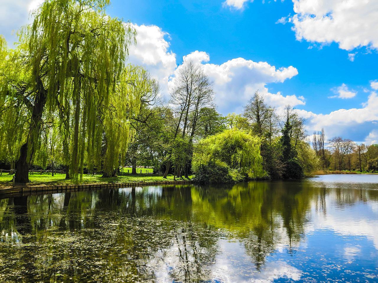 National Trust Runnymede