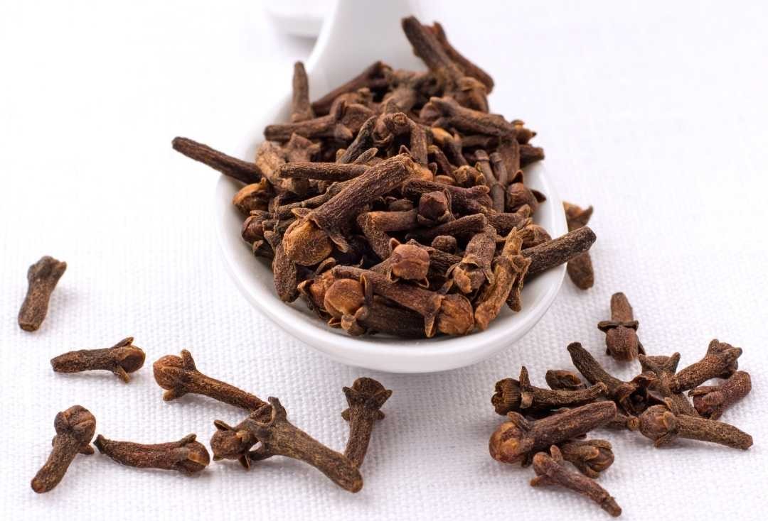 Essential Spices Used in Indian Restaurants - Clove