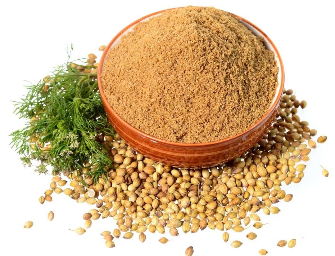 Essential Spices Used in Indian Restaurants - Coriander