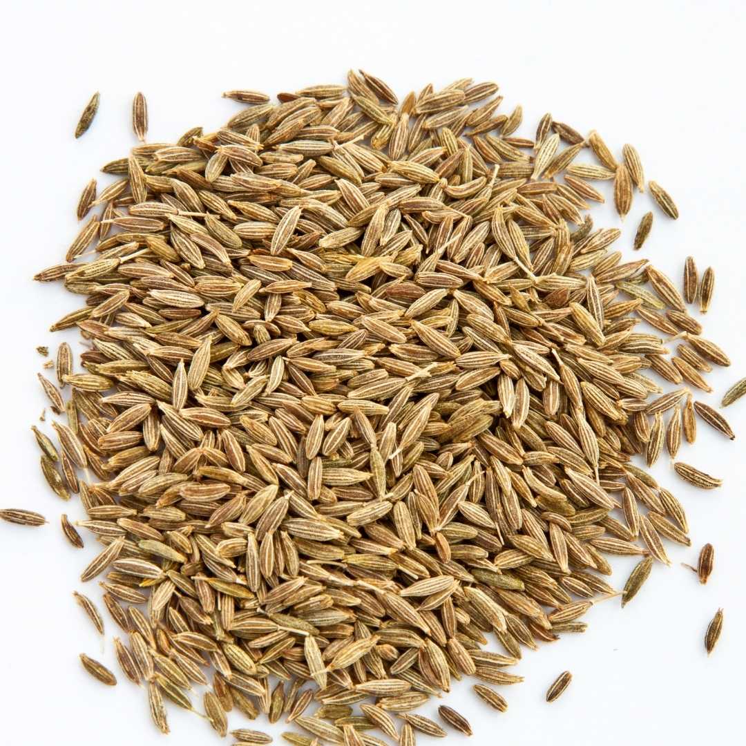 Cumin Seed