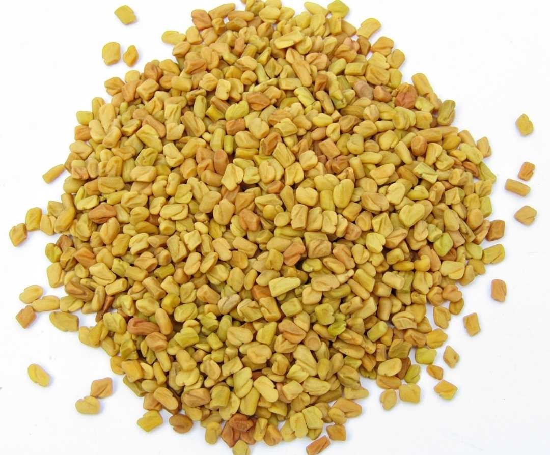 Essential Spices Used in Indian Restaurants - Fenugreek