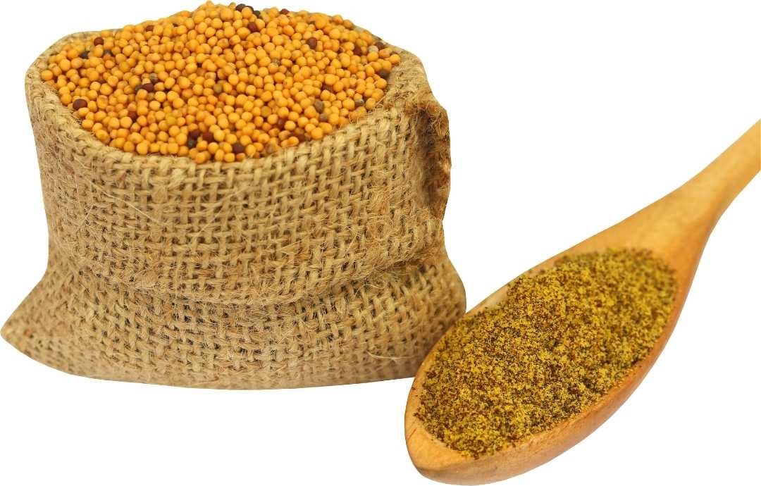 Essential Spices Used in Indian Restaurants - Mustard seeds