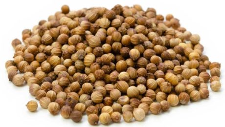 What is Coriander