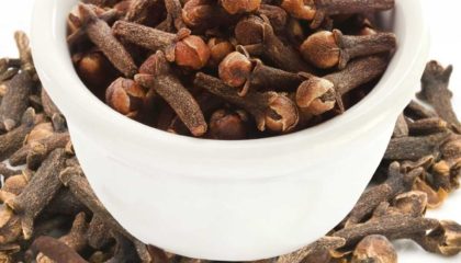 What are Clove and its benefits