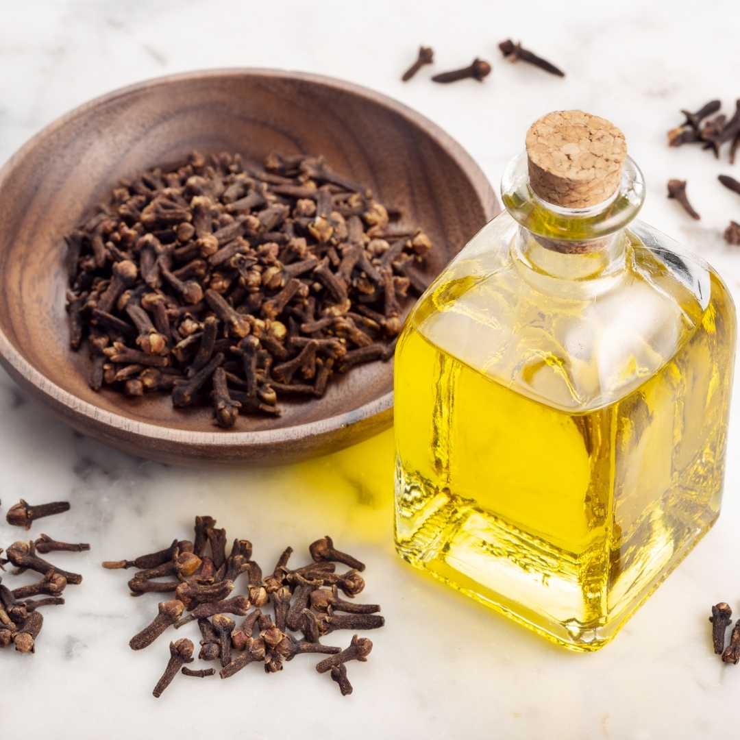 What are Clove and its benefits1