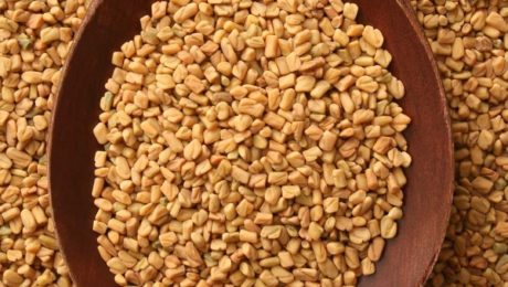 What are Fenugreek and its benefits