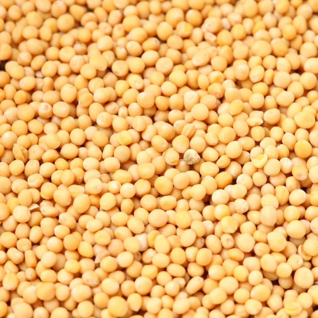 What are Mustard seeds and its benefits